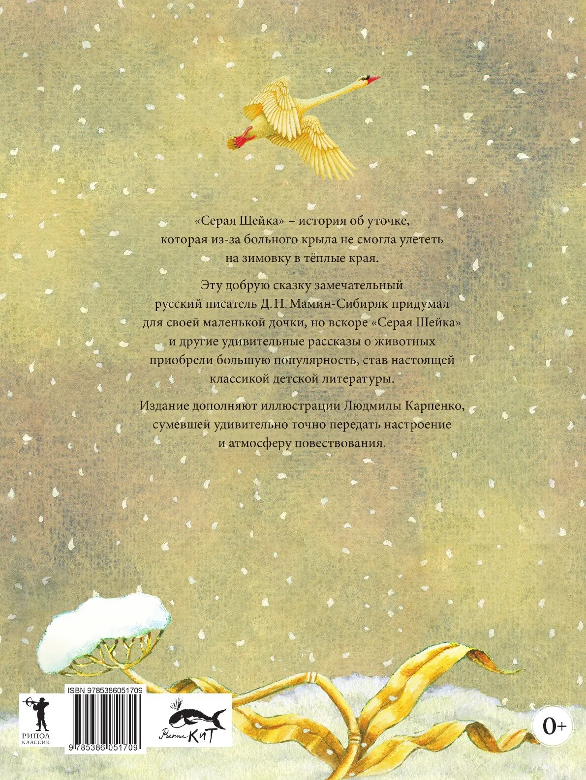 У серой шейки замерло сердце. Серая шейка. Серая шейка Автор. Стихотворение серая шейка. Серая шейка текст.