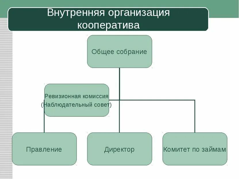 Управление в кооперативе схема. Органы управления кредитного кооператива. Организационная структура управления кредитного кооператива. Структура кредитных кооперативов. Внутренняя организация совета