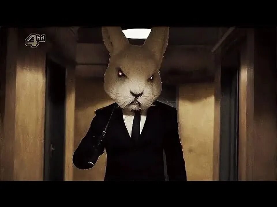 Rabbit demo. Rabbit demo