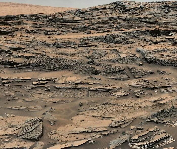 Surface features