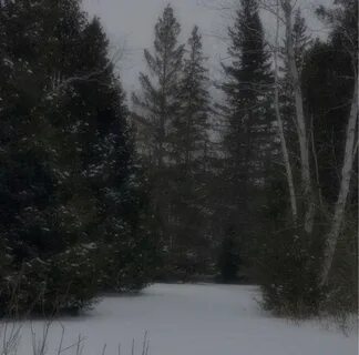 Her winter