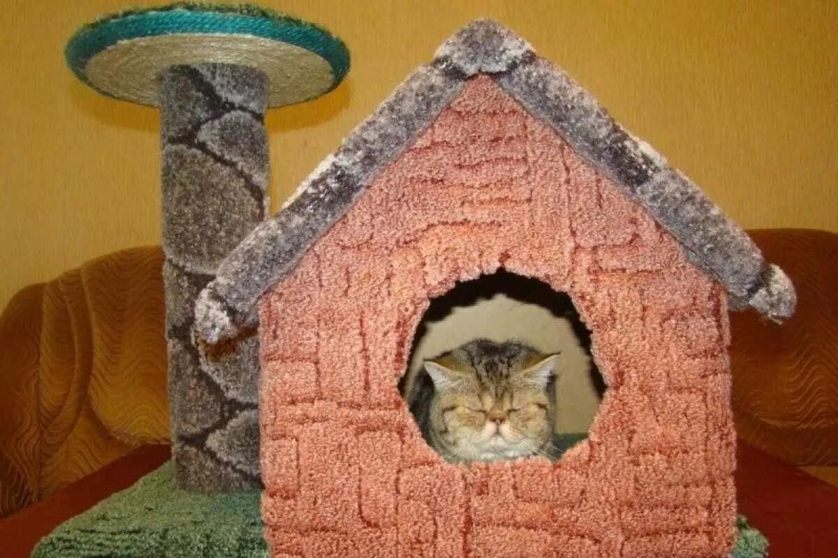 Кошкин дом домашний. Домики для котов. Домик для котика. Кошачий домик своими руками. Проект домика для кошки.