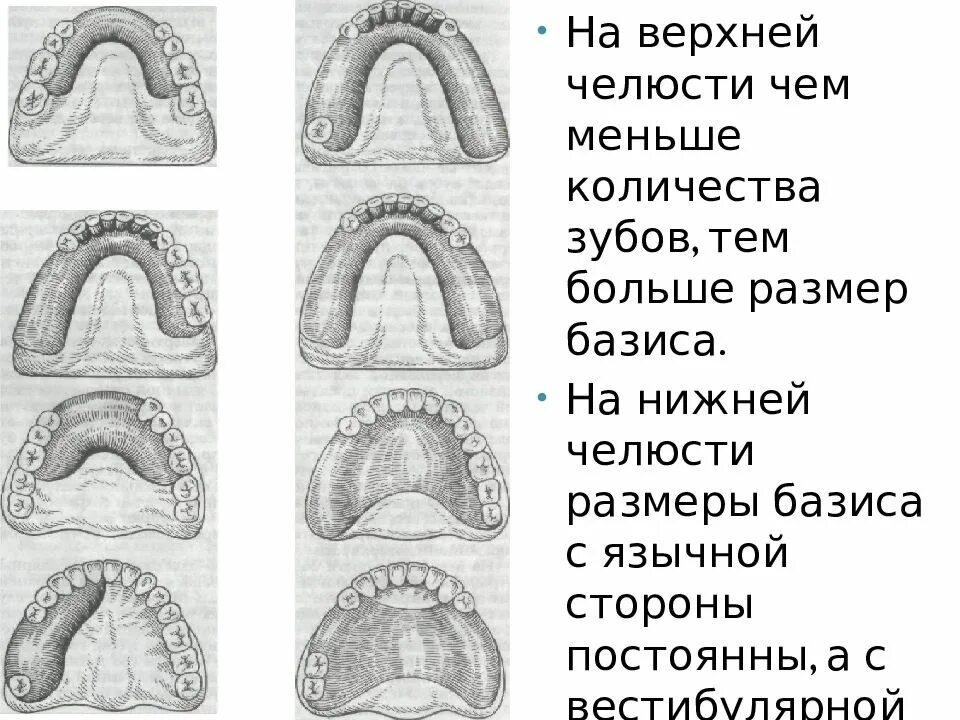 Длина базиса