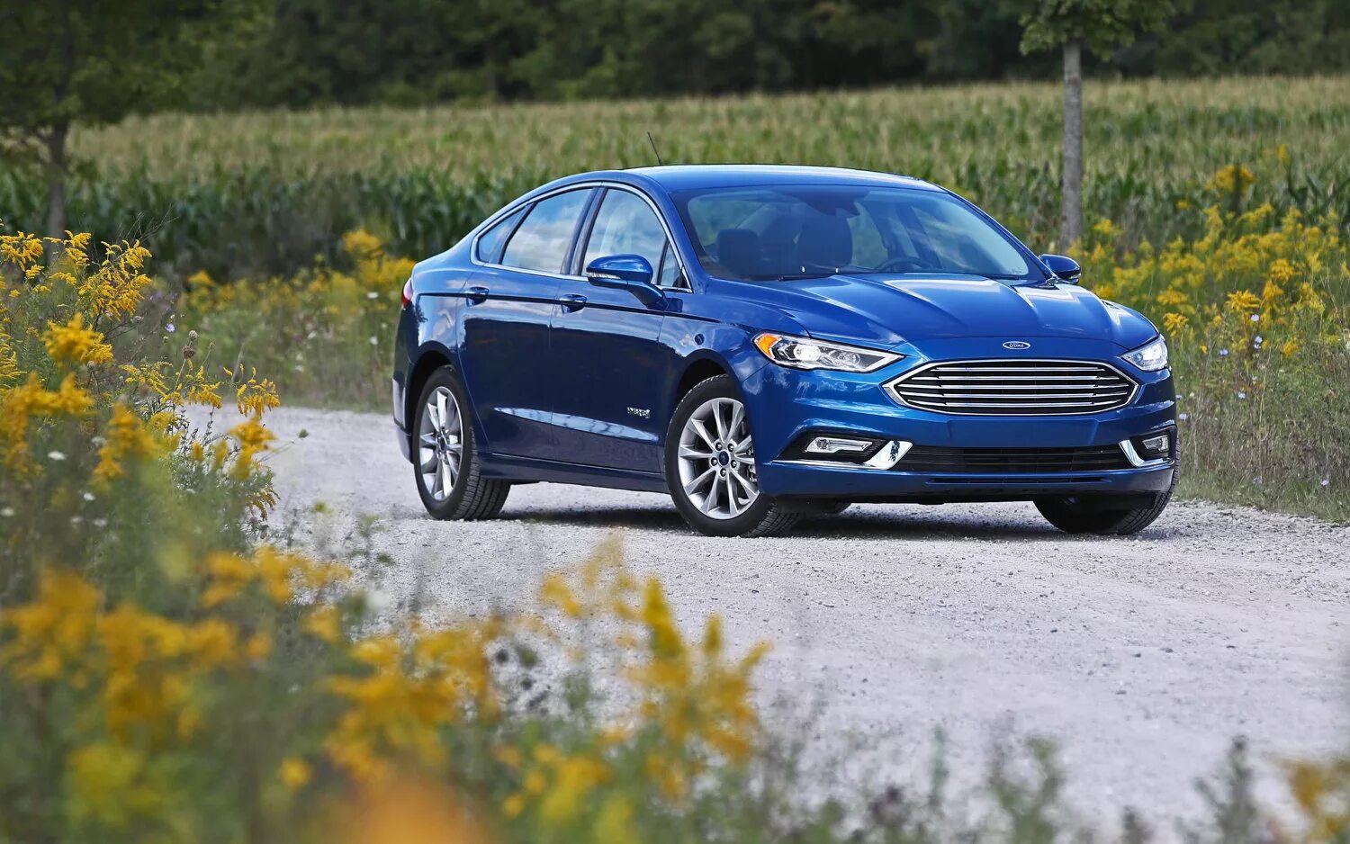2015 ford fusion se. Ford fusion se. Ford fusion 2013 размер. Ford fusion se. Ford fusion se 2017 blue.