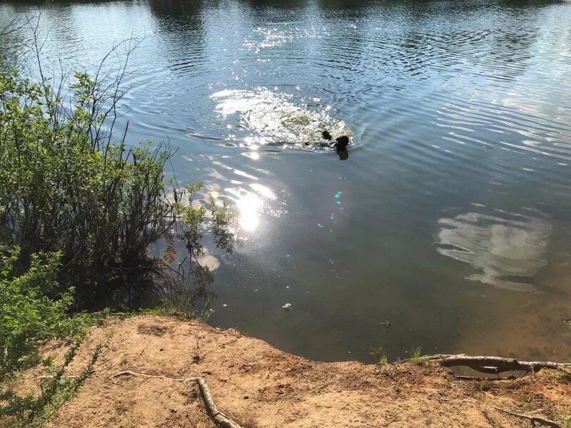 Озеро в Кинешме. Водоёмы Ивановской области. Водоемы Кинешемского района. Котлован речка.