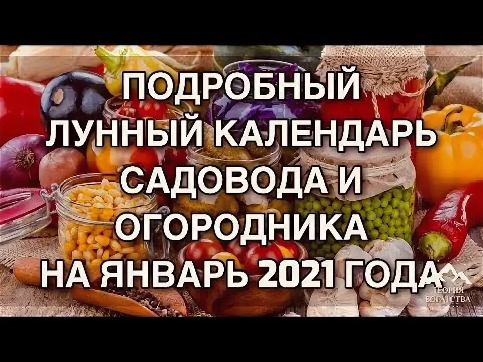 Календарь садовода на январь 2017 Лунный календарь огородника на 2017 год купить с доставкой по выгодным ценам в