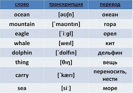 Текст 3 перевод