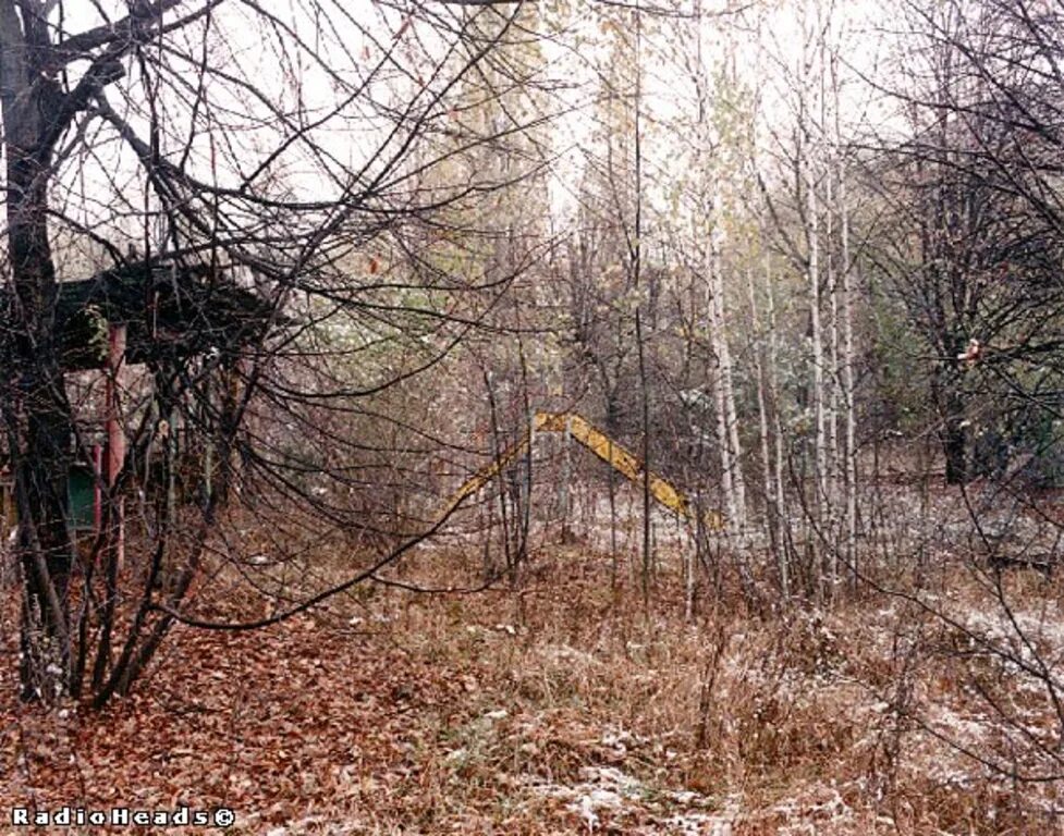 Свечение в чернобыле после взрыва. Рыжий лес Чернобыль. Рыжий лес Припять. Припять рыжий лес мутанты. Рыжий лес Припять 1986.