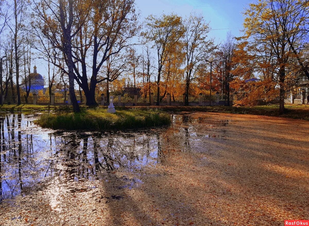 Водная гладь в саду. Гладь старинного пруда. Гладь старинного пруда. Гладь старинного пруда. Гладь старинного пруда.