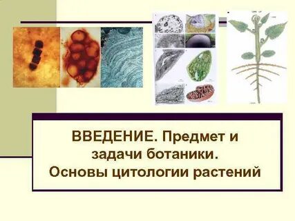 Предметы ботаники