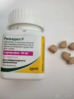 Обезболивающее для собак при боли