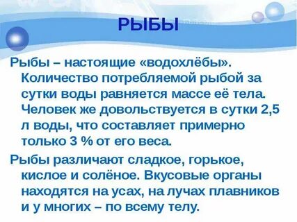 Водохлеб