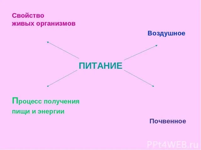 Свойства всех живых организмов. Свойства животного организма. Питание свойство живых организмов. Как называется свойство живых организмов. Объясните свойства живых организмов