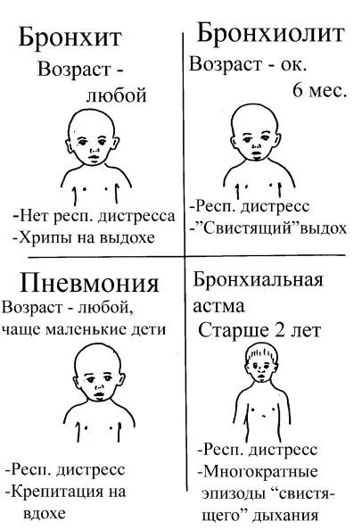 Бронхит 1 месяц. Бронхит у детей 8 месяцев симптомы. Бронхит у ребенка 2 месяца симптомы. Симптомы при бронхите у детей 3-4 года. Симптомы бронхита у ребенка 3 года.