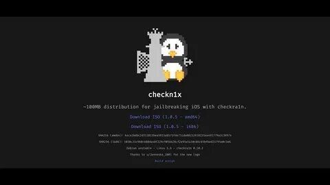 Checkn1x