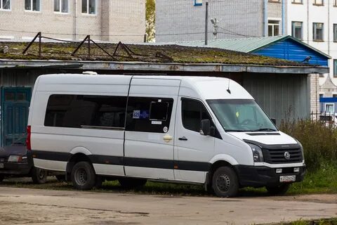 15 луидоров