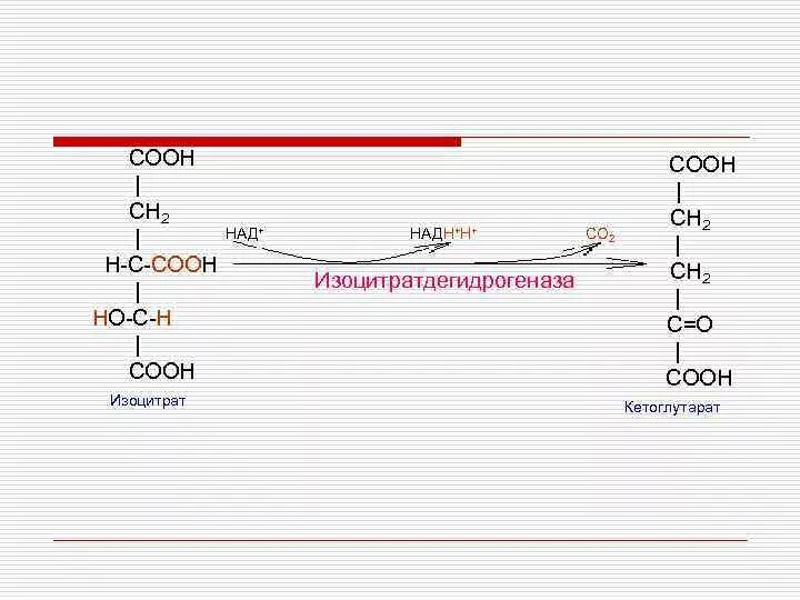 Hooc ch. Cooh ch2 c o Cooh. Изоцитрат дегидрогеназа. Изоцитрат в Альфа кетоглутарат. Изоцитратдегидрогеназа реакция.