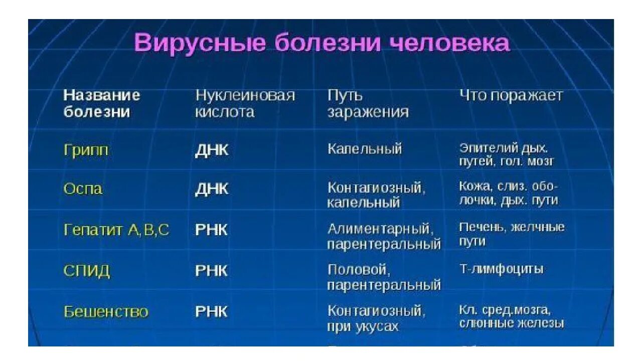 Основные вирусные заболевания человека