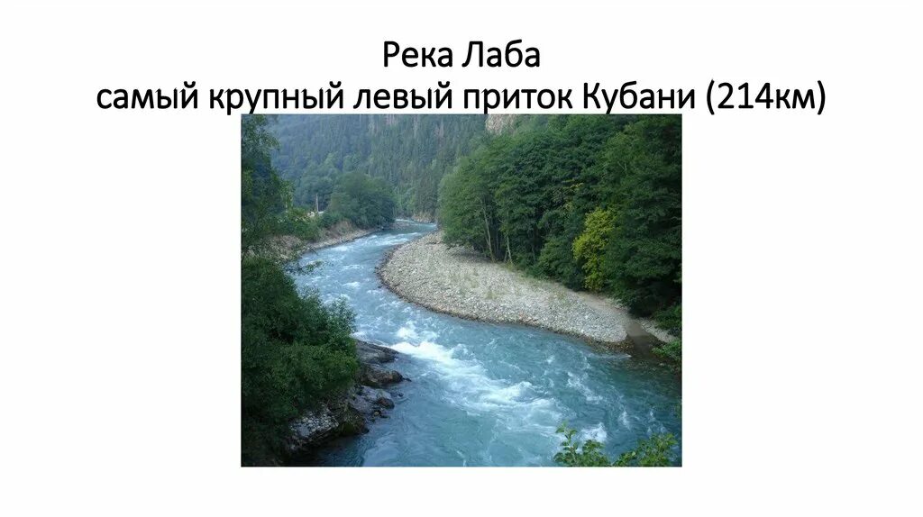 Длина лабы. Лаба (приток Кубани). Самый крупный приток реки Кубани. Крупные притоки Кубань. Лаба (приток Кубани) реки Краснодарского края.