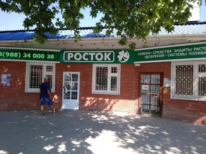 Логотип росток для детского сада. Садовый центр росток в курске. Росток магазин семян. Росток надпись. Росток магазин семян.