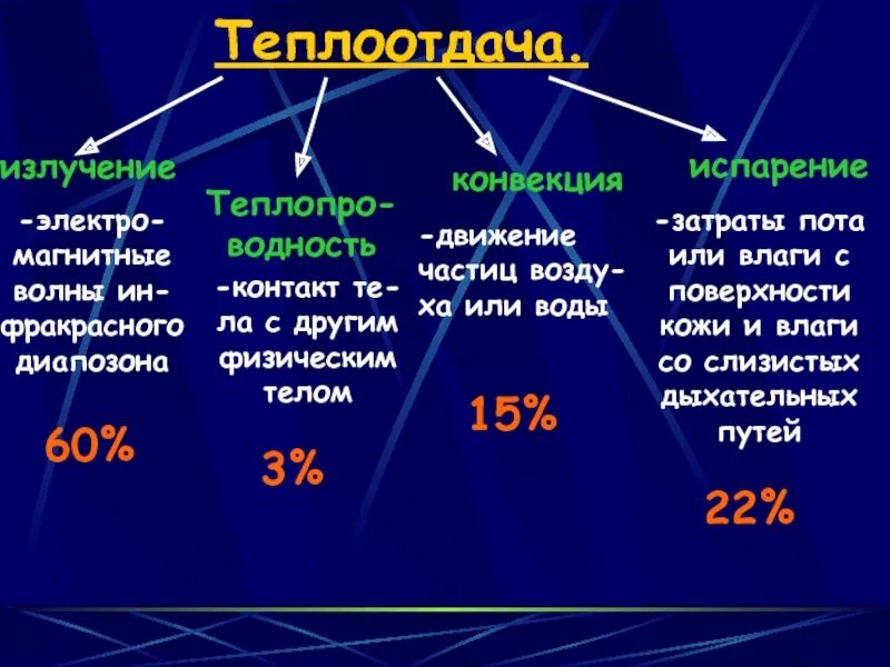 Теплоотдача излучением. Теплопроведение конвекция излучение испарение. Теплоотдача излучением. Коэффициент лучистой теплоотдачи формула. Тепловыделения от людей.