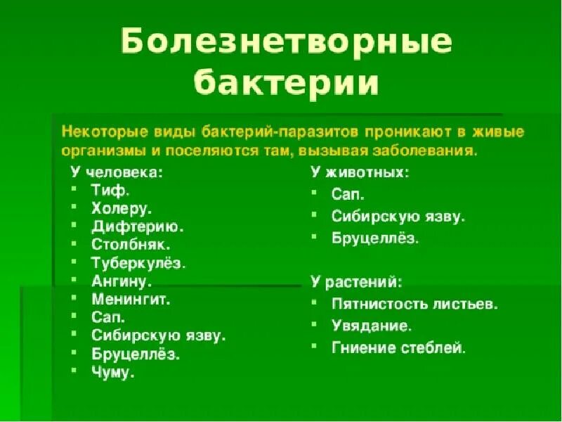 С какими болезнями находятся. Примеры болезней вызванных бактериями. Какие заболевания от бактерий. Бактериальные болезни человека 5 класс биология. Болезни человека вызываемые бактериями 5 класс.