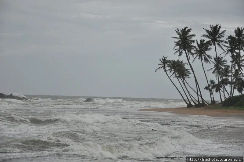 Шри Ланка Муссоны. Муссон ветер. Муссоны в Тайланде. Муссон фото. Влияние муссонов