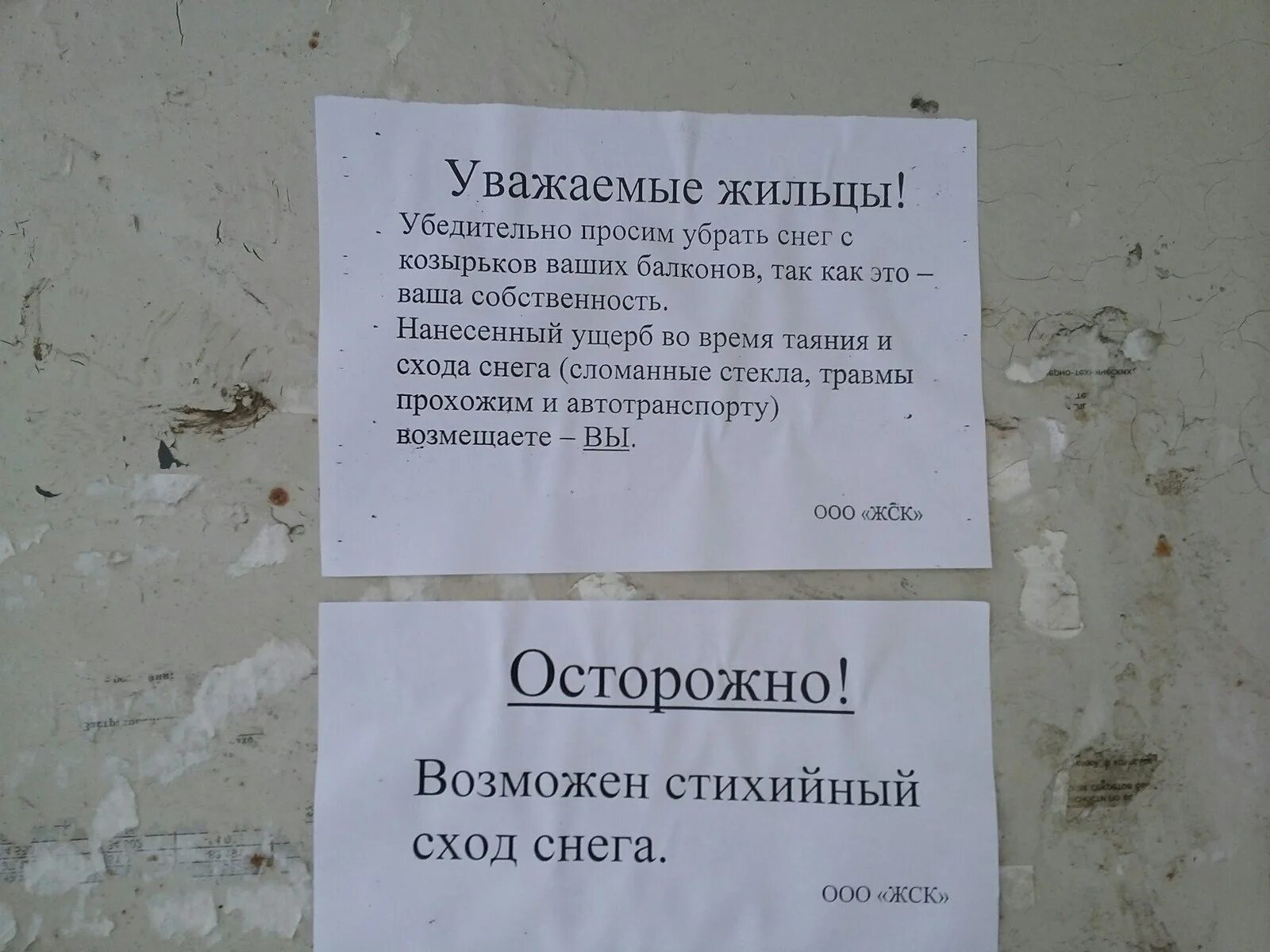 Просьба текущее. Служебная записка о вызове сотрудника из отпуска. Объявление. Объявление просьба. Уважаемые жильцы убедительная просьба.