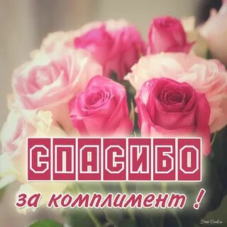 Комплимент женщине под фото своими