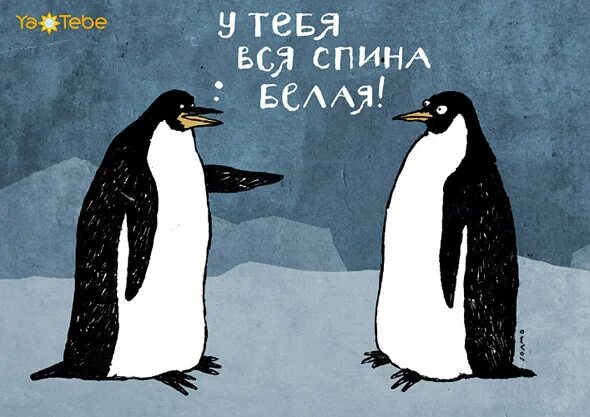 Что обозначает белая спина. У тебя вся спина белая. У вас спина белая. Спина белая 1 апреля. Открытки у вас вся спина белая.