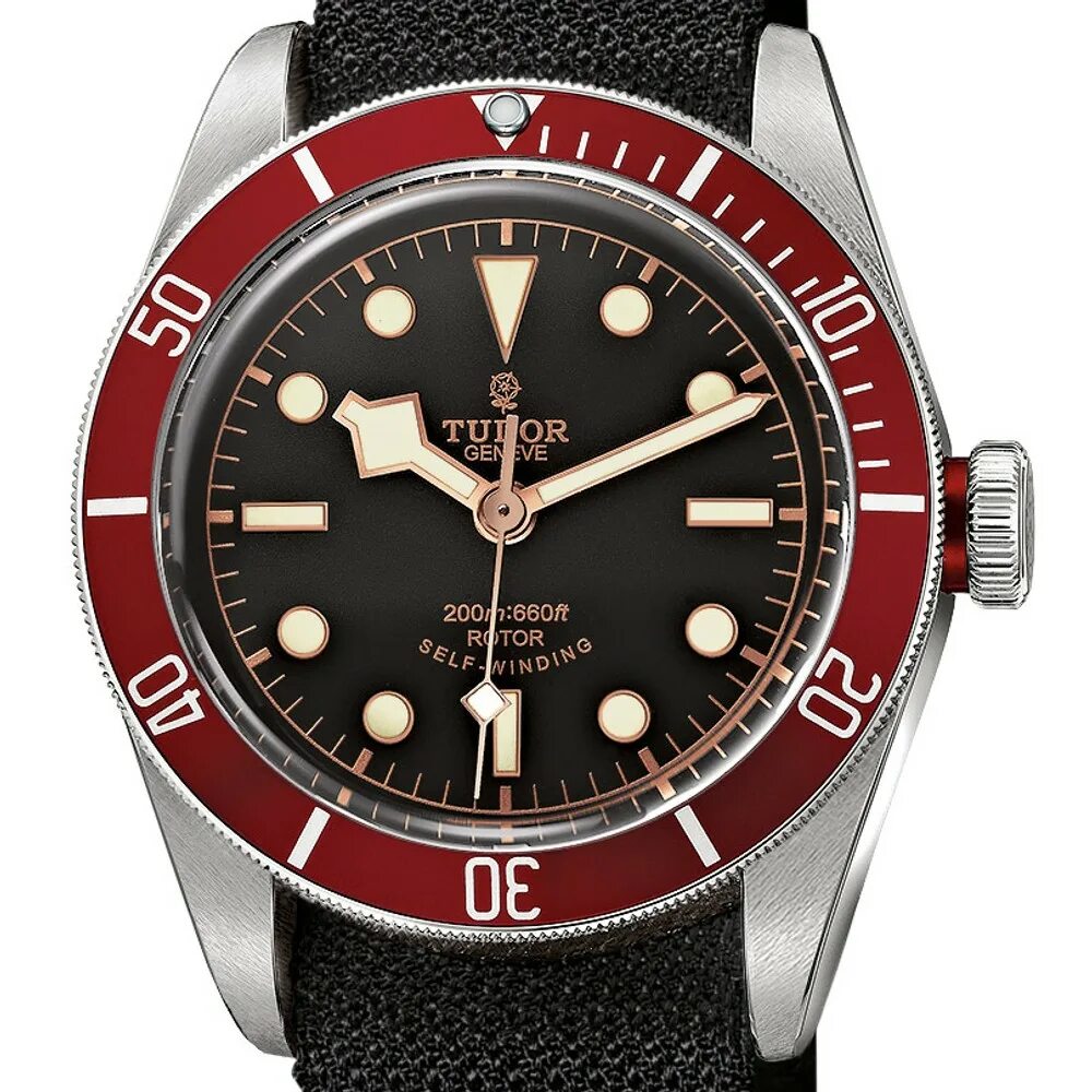 Часов tudor. Наручные часы tudor. tudor часы мужские. tudor geneve. часы tudor мужские оригинальные.
