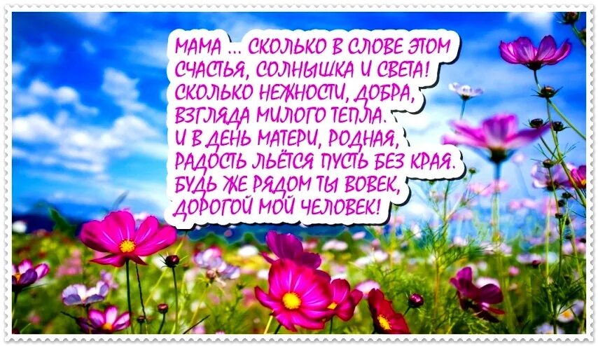 Мама сколько в слове этом счастья солнышка и света. Мама сколько в этом слове нежности. Мама сколько в слове этом счастья солнышка и света Автор. Мама сколько в этом слове счастья нежности добра.