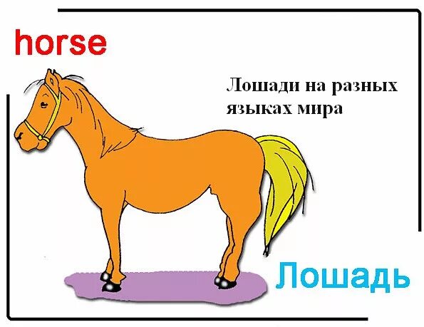 как пишется по английски лошадь. части тела лошади на английском языке. как пишется по английски лошадь. части тела лошади названия. лошадь для детей.