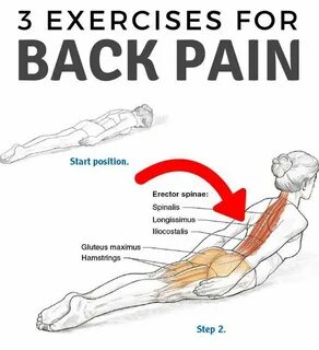 Back exercises
