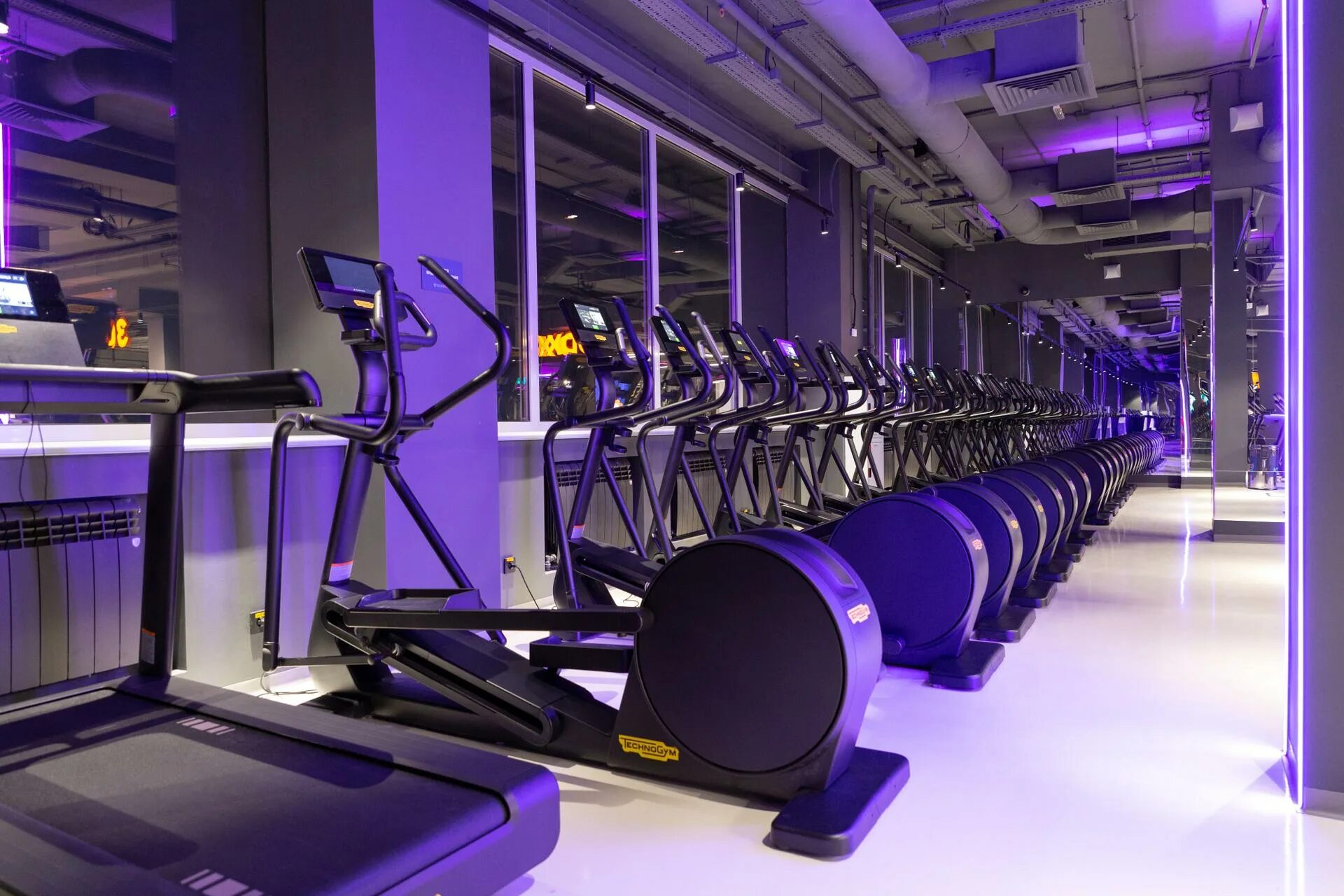 Ddx fitness ростов на дону астор. Астор фитнес ростов. Ddx fitness ростов на дону. Ddx fitness ростов на дону. Максима горького, 97/49.