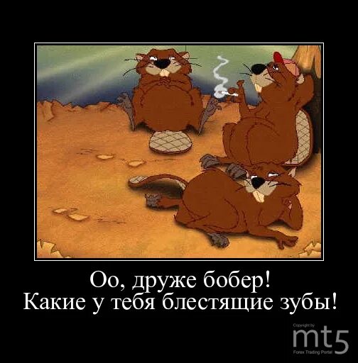 бобры анекдот. приколы про бобров. бобры демотиваторы. бобры анекдот. бобры анекдот.