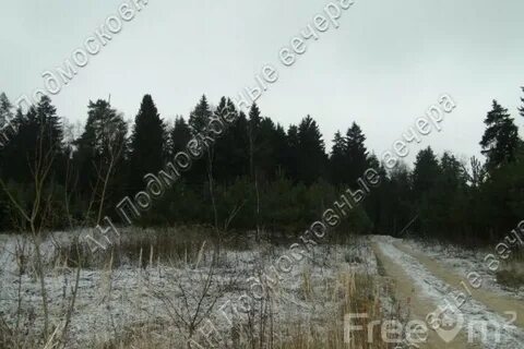 Москва погода новофедоровское поселение деревня