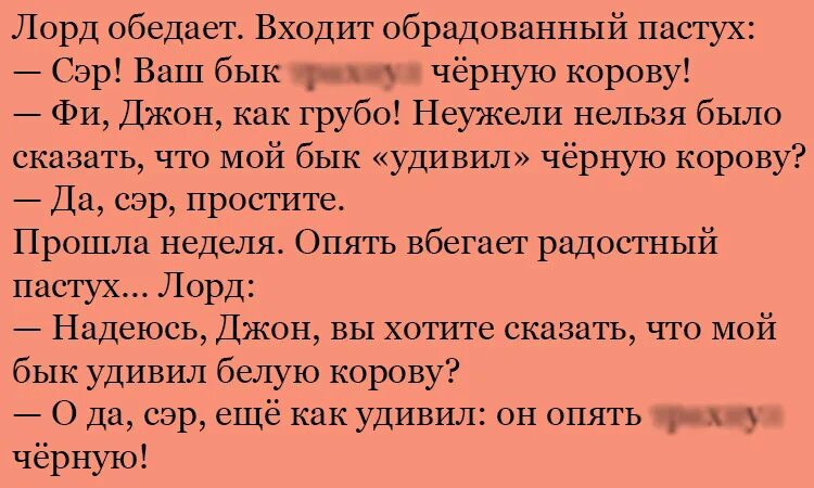 смешной стишок про корову. анекдот про быка. анекдот про льва и быка. анекдот про жену льва и быка. анекдот про быка.