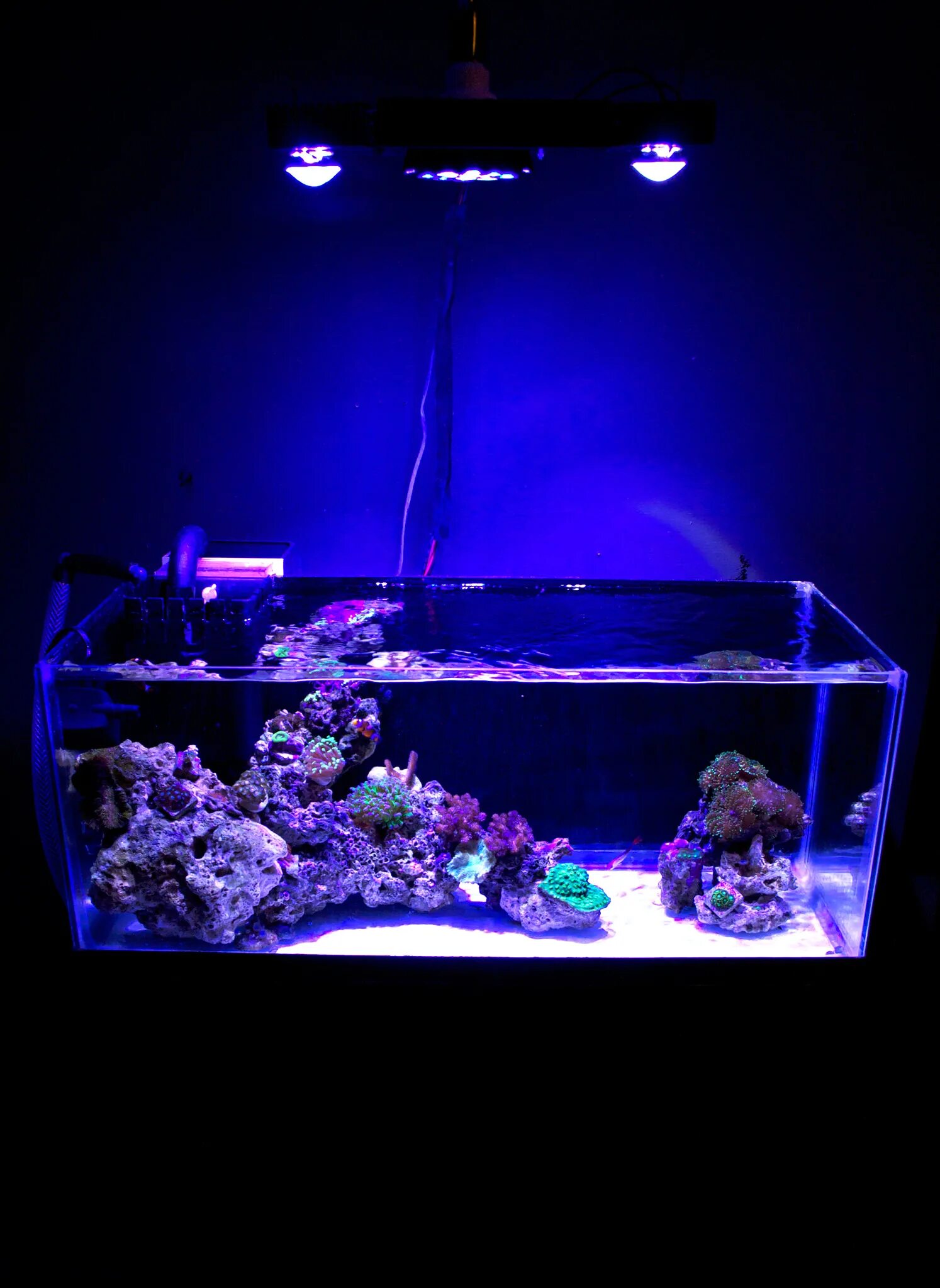 Подсветка для аквариума. Неоновая подсветка для аквариума. Аквариум с подсветкой большой. Аквариум с неоновой подсветкой.