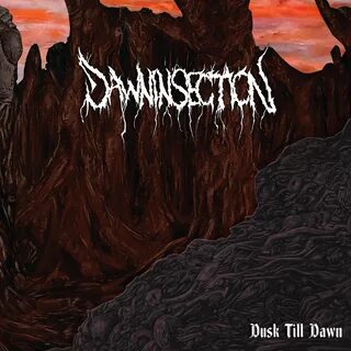 Dusk to dawn