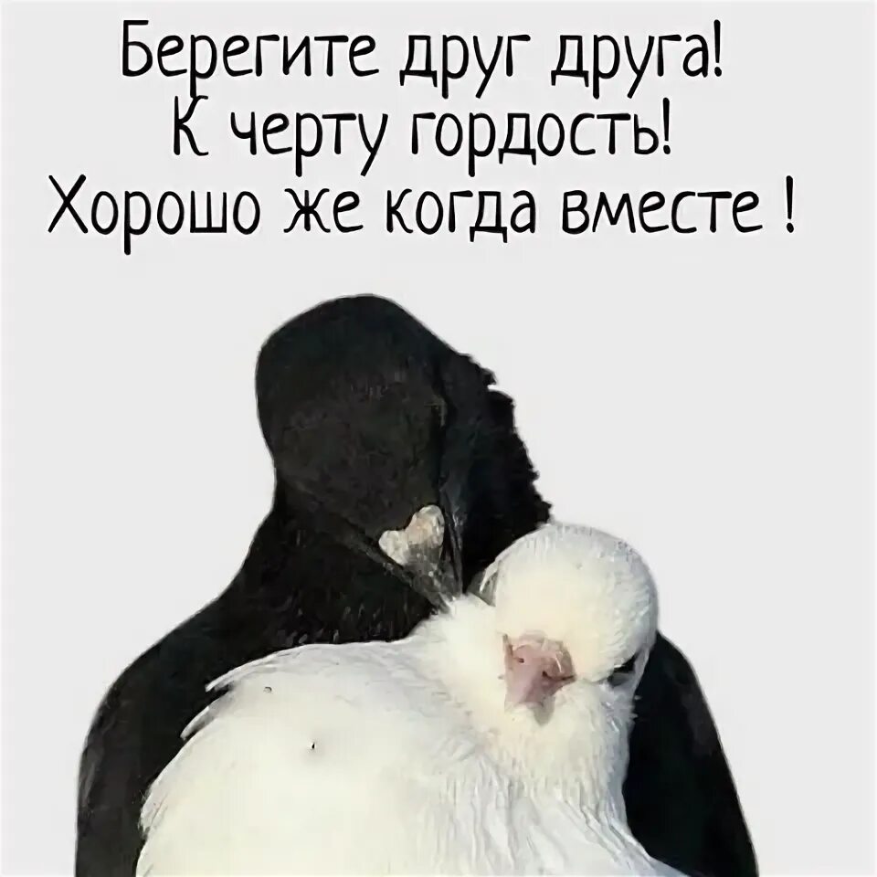 Им суждено быть вместе. Хорошо когда вместе. когда вместе будем?.