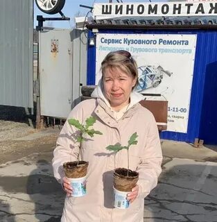 Затеянное дело