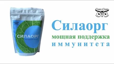 Силаорг