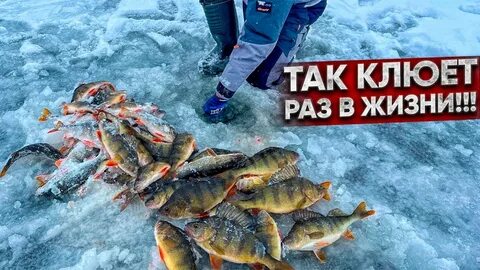 Первый лед 2024 зимняя рыбалка