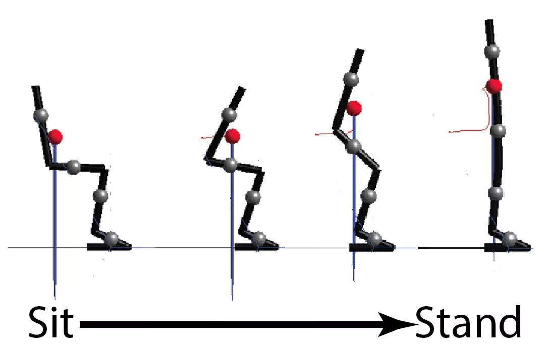 Stand mean. Stand формы. Sit Stand. To Stand. Standing position.