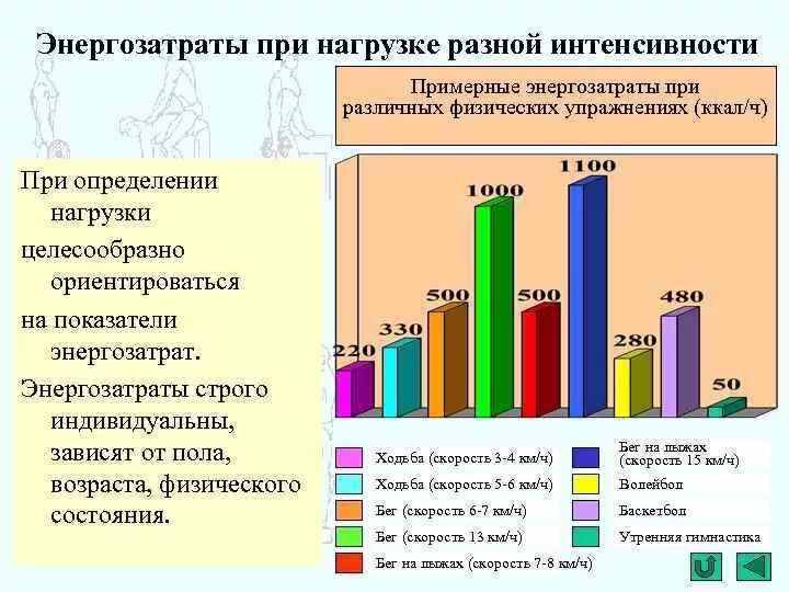 Ориентировочные энерготраты при дозированных физических нагрузках. Ориентировочные энерготраты при дозированных физических нагрузках