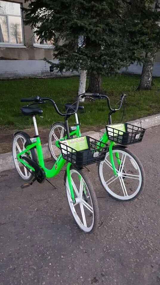 Велосипеды тверь. Велосипед напрокат. Зеленый велосипед напрокат. Городские велосипеды с зеленым. Зеленый город велосипеды.