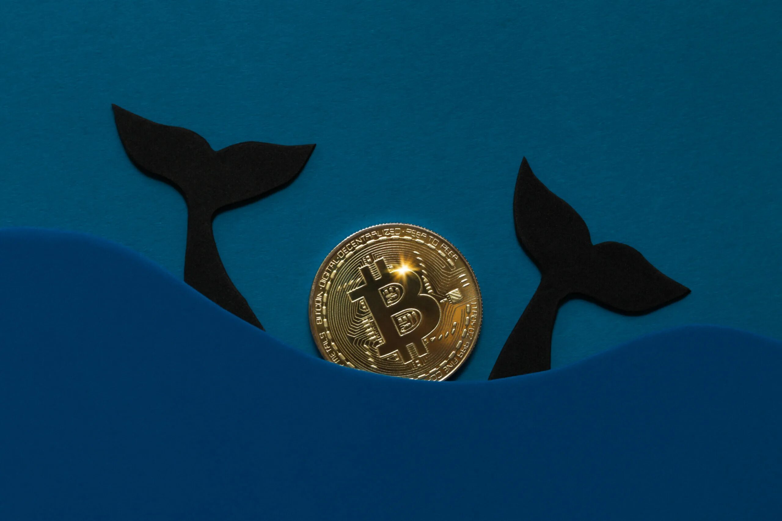 Top 10 bitcoin whales part 2 код