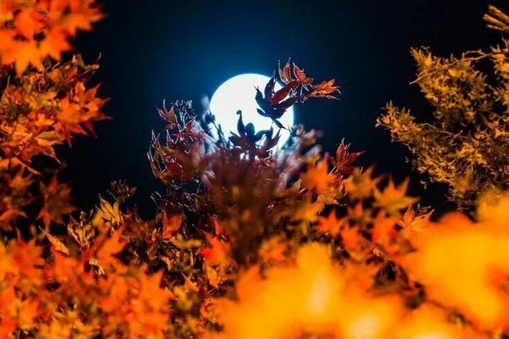 Ночное небо новосибирска. 21 сентября ночью. 31 июля курск гроза. Улица ночью. Ракета с запуском.