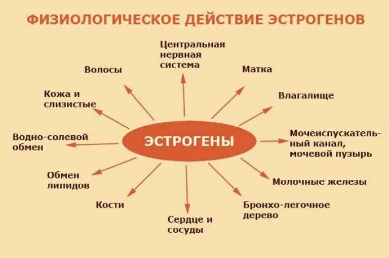 Повышенный уровень у женщин. Эстроген гормон. Эстрогены физиологический эффект. Женский гормон эстроген. Роль в организме гормона эстрогена.